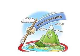 一、  深度剖析：名字背后的情感内核
