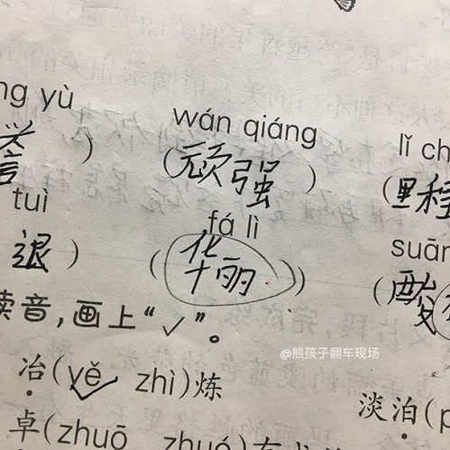 哪个生肖以见多识广、阅历丰富著称？