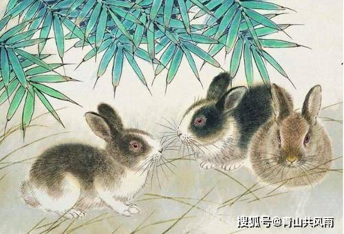 1951年属兔人2026年农历四月运势和1951年属兔女人2026年运势分别是什么？