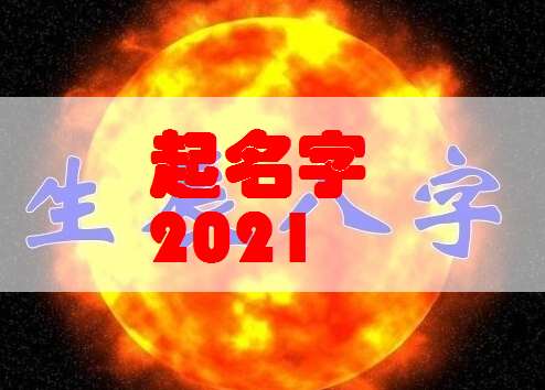 （一）属牛女性群体：传统方式忠诚与务实持家的典范