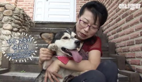 （二） 独特性与稀缺性的符号价值