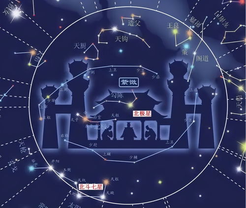 紫微主星涨薪方式的系统性解析报告