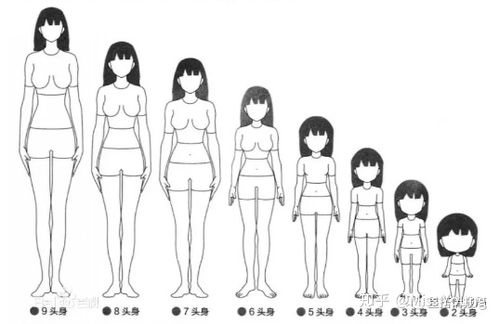 腿长脚瘦背后的含义