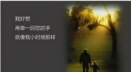 三、 父母自身失败经验投射与对子女过度期望之关系模型