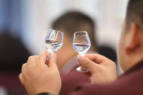 饮酒文化之学术阐释：从生肖风水视角审视其技艺内蕴