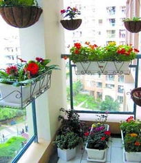 室内花棚布置需要注意哪些风水讲究？