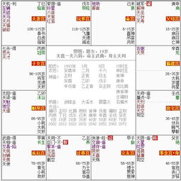 紫微命盘财帛宫位于四马之地，紫微图书中如何解读其财运影响？