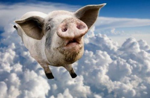 睿字能否用于大海水命的名字？83猪大海水命的人缺少什么可以改命？