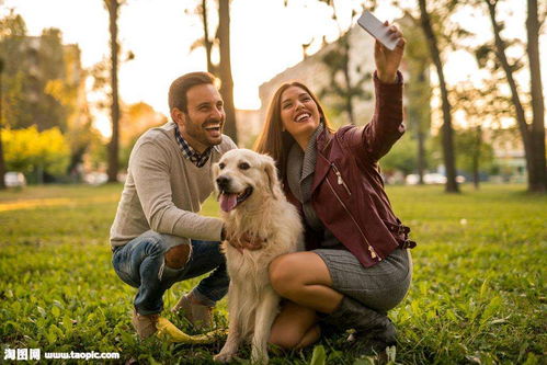 三、  破冰策略：从行为干预到情感复建