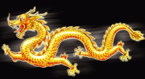 2026年属龙女性全年运势具体是怎样的？