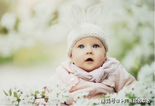 1. 带有“夏”字的