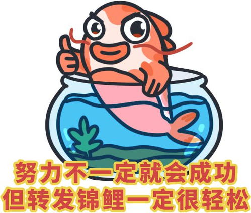 星座运势大爆炸！12月底谁最有钱？