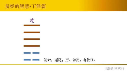 “易”字本义与时机把握的哲学阐释