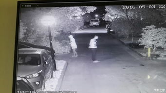 邪恶灵体的真实相