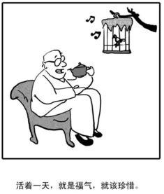 吉祥物运用：风水调理中的象征意义