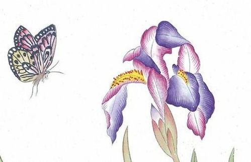 命运轨迹：早年艰辛与中年成功的非线性演变