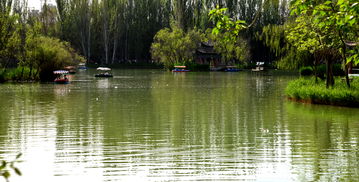 去不去由你：反正我是被坑惨了的酒泉泉湖公园实录