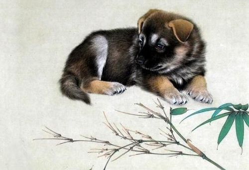 2026年属狗人的八字运势和命理具体意味着什么？