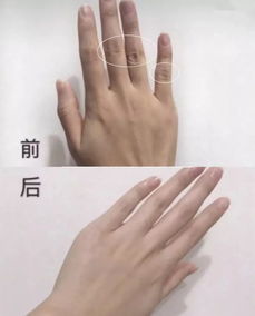 二、 带仙之辨识标准