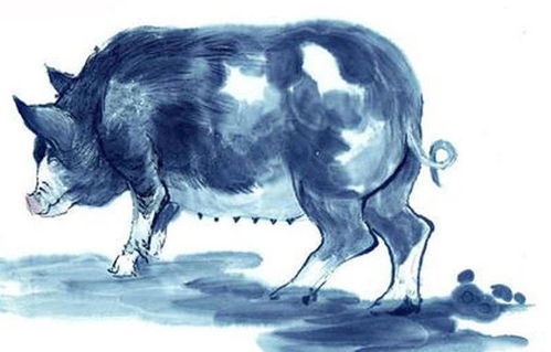 2026年属马女性48岁事业运和整体运势会是怎样的？