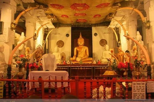 佛牙寺 - 2026年最新骗局大曝光