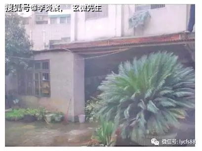 1. 阴阳平衡：风水布局的核心理念