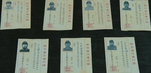 (i) 本数字——必然规律基础