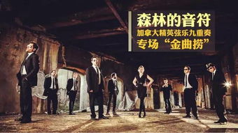 森林音乐会， 音符惊魂夜：一论风水国学视角的体验与反思