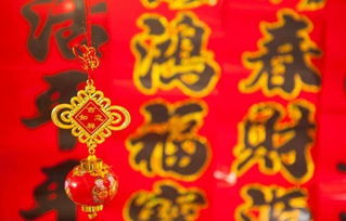 十二生肖财运兴隆图解中，看好赌小财运通打一生肖具体指什么？