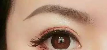 眉毛密集度与财富管理能力之关联