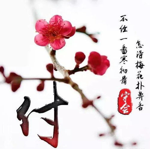 请问有没有人姓梅名叫梅什么名字的？