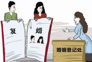 复合（复婚）前提条件的玄学解析与实践路径