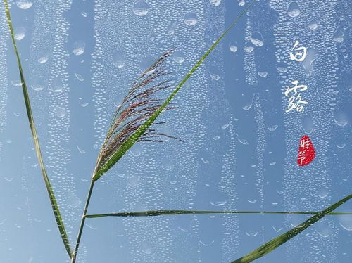 祭祀礼仪与地域差异