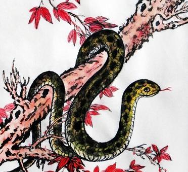 属蛇住5楼如何化解吉凶？属蛇住13楼的风水最旺是哪个方位？