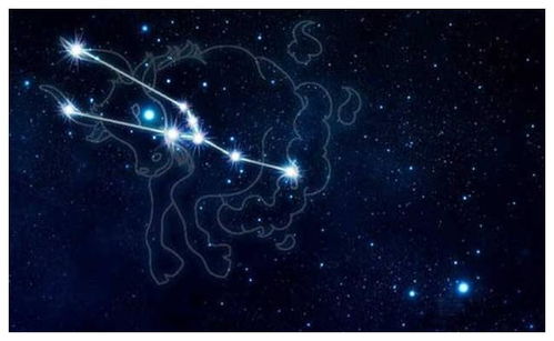 财富运势：今天会发财吗？