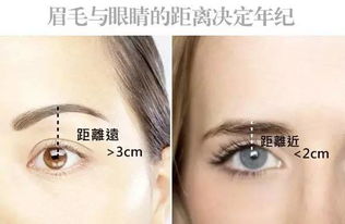 四、 新月眉：细腻敏感之体现