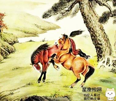 2026年属马的人会因为找小三而离婚吗？2026年属马结婚有哪些忌讳需要注意？