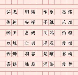 “晟材”？听着挺较大气啊…