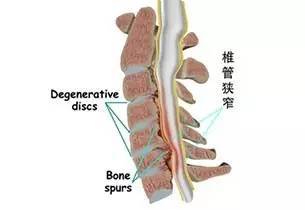 第二节：对传统风水观念的批判性继承态度