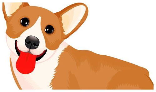 1.1 五行相克的误区（其实根本不需要这么严肃）