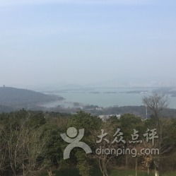 餐饮服务：美食界的泥石流