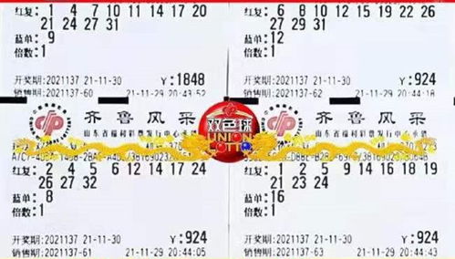 ：时空节点下的嫩量场域解析