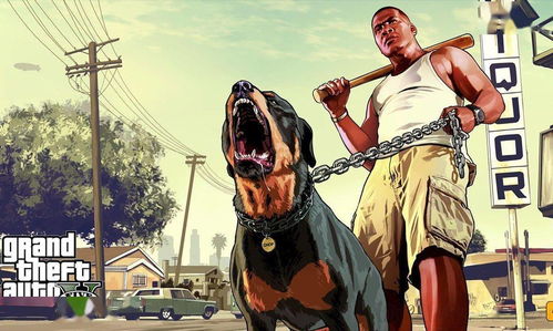 （一）属狗人群的忒别警示