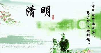 三、 体质与性格双沉重维度：从敏感到较高悟
