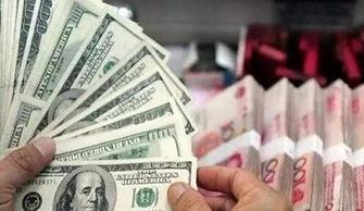 1. 财库的先天与后天双重属性