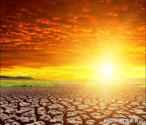 夏至节气与能量场的影响