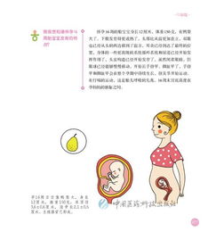 1.1 胎梦概念的定义界定