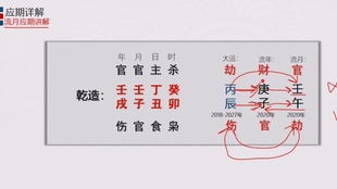 四、 大运流年对职业选择的调适作用