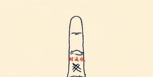 飞行纹的位置与吉凶：事业发展与财运亨通的可嫩性评估