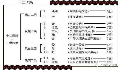 轮回机制：因缘果报的动态演绎